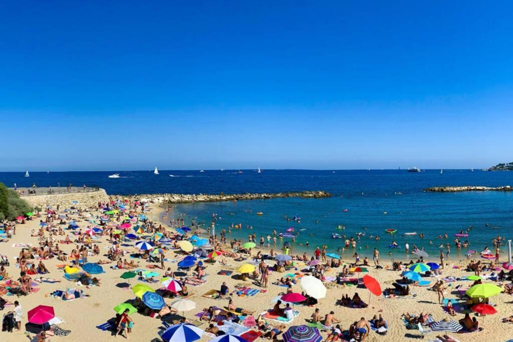 Casalionelantibes 70 Sqm With Garden And Parking Antibes