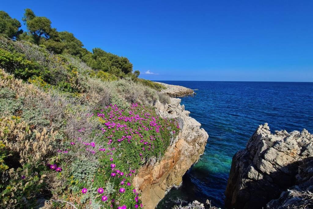 Casalionelantibes 70 Sqm With Garden And Parking Apartment