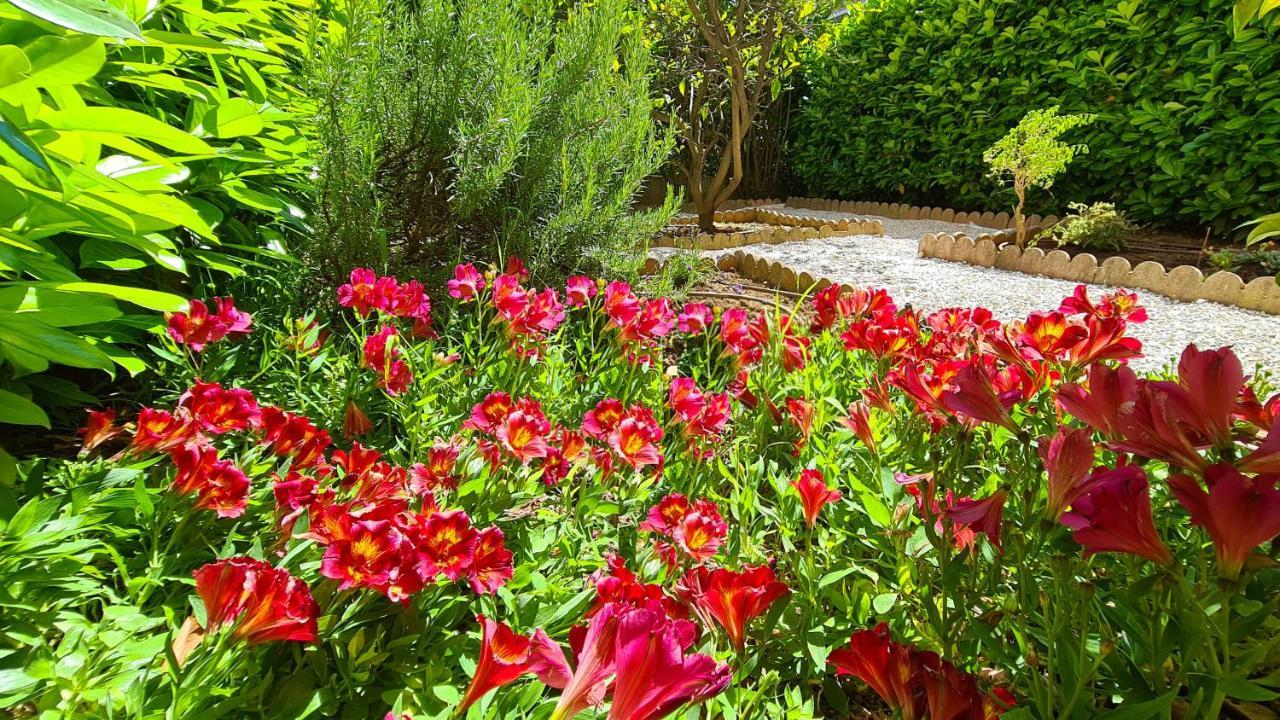 Apartment Casalionelantibes 70 Sqm With Garden And Parking Antibes