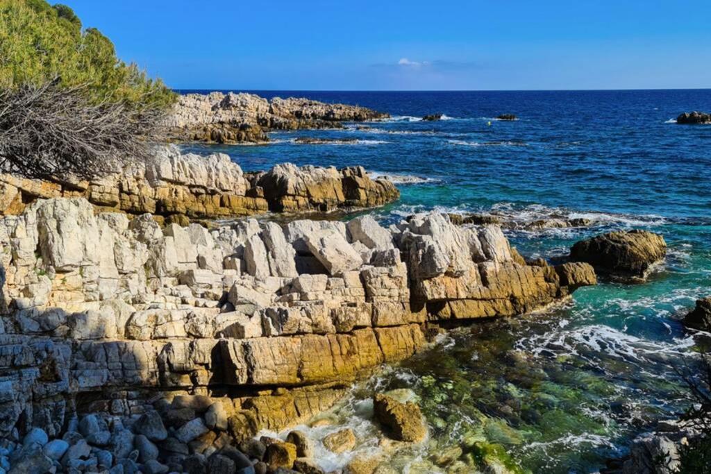 Casalionelantibes 70 Sqm With Garden And Parking Apartment Antibes