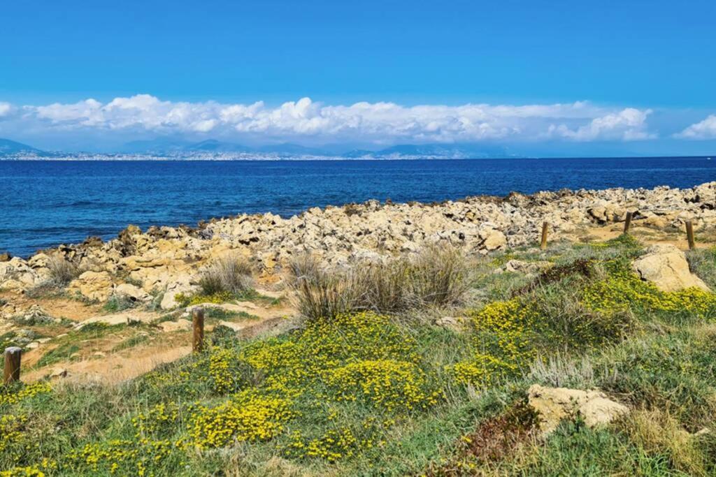 Casalionelantibes 70 Sqm With Garden And Parking